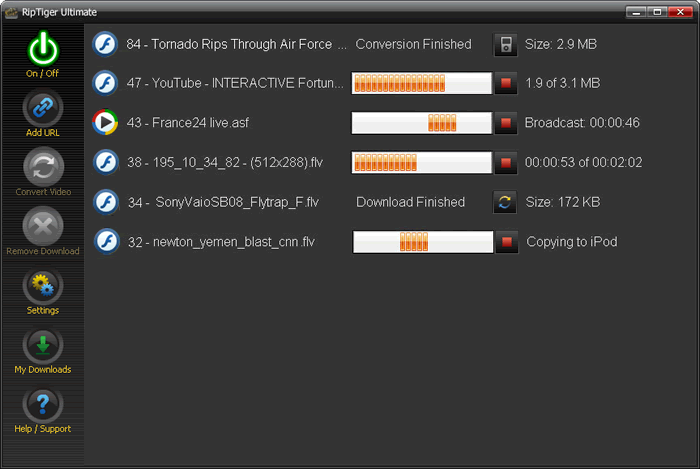 RipTiger - Downloads in Progress